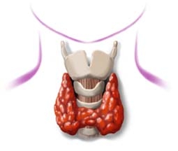 hashimoto-tiroiditi