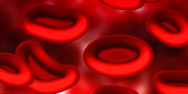 hemoglobin düşüklüğü, hemoglobin yüksekliği ,hemoglobin değerleri, hemoglobin nedir, hematokrit hemoglobin a1c, hemogram eritrosit