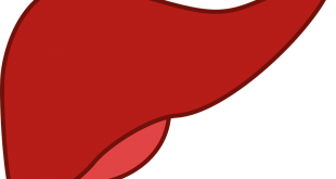 hepatit b bulaşma ve korunma yolları, hepatit b koruma aşısı, hepatit b den korunma yolları, hepatit c den korunma yolları, hepatit b hastalığından korunma yolları, hepatit a nasıl bulaşır, korunma yolları, hepatit c hastalığından korunma yolları